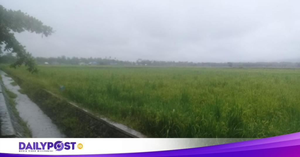 Surati Pj. Gubernur Gorontalo, Hamim Pertanyakan Pelunasan Pembebasan Lahan&nbsp;Miliknya